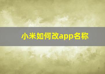 小米如何改app名称