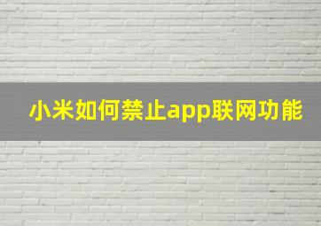 小米如何禁止app联网功能