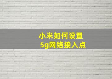 小米如何设置5g网络接入点