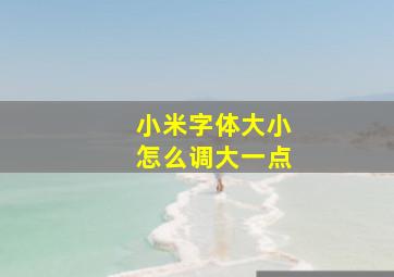 小米字体大小怎么调大一点