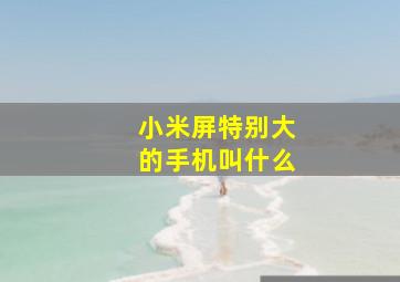 小米屏特别大的手机叫什么