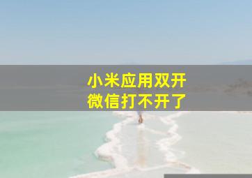 小米应用双开微信打不开了