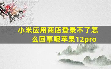 小米应用商店登录不了怎么回事呢苹果12pro