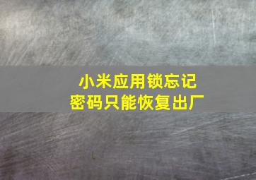 小米应用锁忘记密码只能恢复出厂