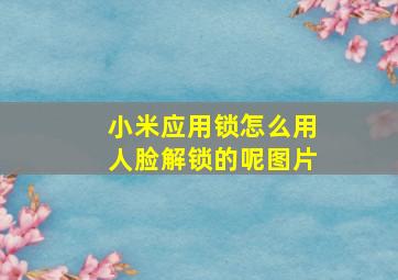 小米应用锁怎么用人脸解锁的呢图片