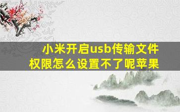 小米开启usb传输文件权限怎么设置不了呢苹果