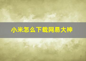 小米怎么下载网易大神