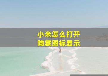 小米怎么打开隐藏图标显示