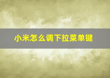 小米怎么调下拉菜单键