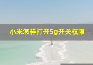 小米怎样打开5g开关权限