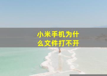 小米手机为什么文件打不开