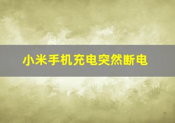 小米手机充电突然断电