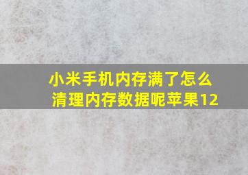 小米手机内存满了怎么清理内存数据呢苹果12