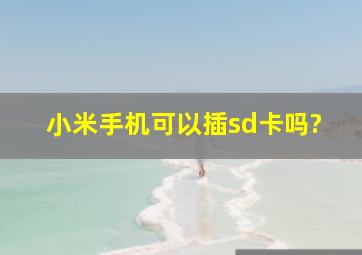 小米手机可以插sd卡吗?