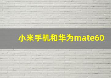 小米手机和华为mate60