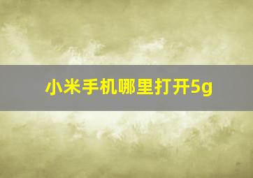 小米手机哪里打开5g