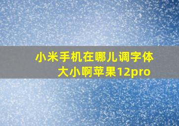 小米手机在哪儿调字体大小啊苹果12pro