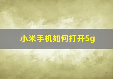 小米手机如何打开5g