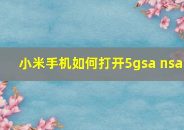 小米手机如何打开5gsa+nsa