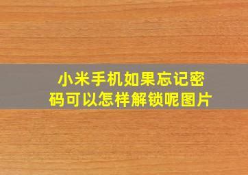 小米手机如果忘记密码可以怎样解锁呢图片