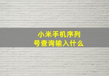 小米手机序列号查询输入什么