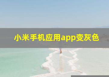 小米手机应用app变灰色