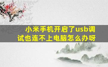 小米手机开启了usb调试也连不上电脑怎么办呀