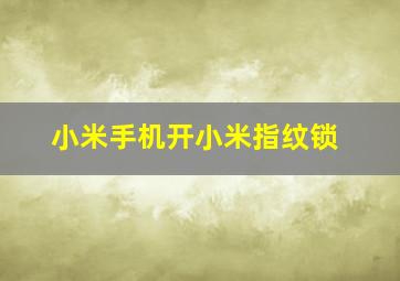 小米手机开小米指纹锁