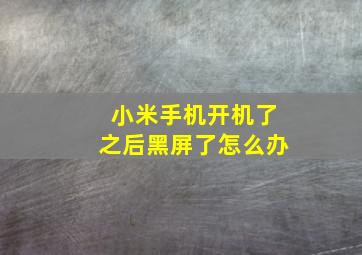 小米手机开机了之后黑屏了怎么办