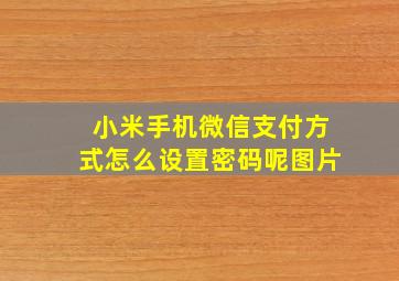 小米手机微信支付方式怎么设置密码呢图片