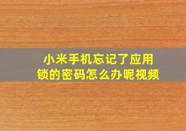 小米手机忘记了应用锁的密码怎么办呢视频