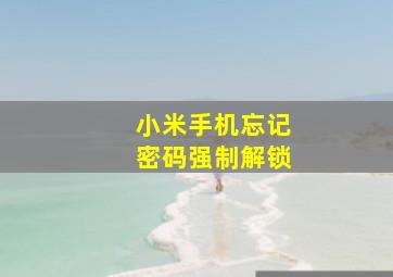 小米手机忘记密码强制解锁