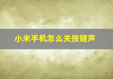 小米手机怎么关按键声