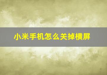 小米手机怎么关掉横屏