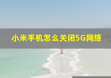 小米手机怎么关闭5G网络