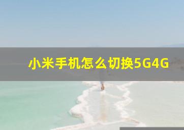 小米手机怎么切换5G4G