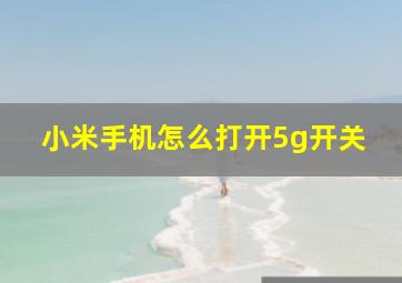 小米手机怎么打开5g开关