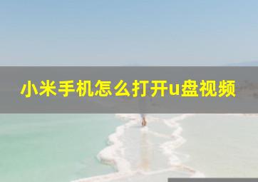 小米手机怎么打开u盘视频