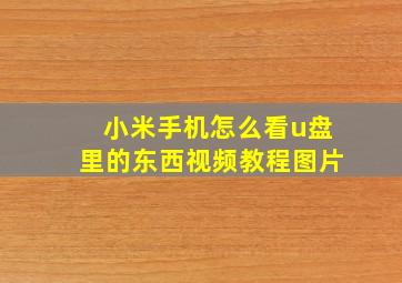 小米手机怎么看u盘里的东西视频教程图片