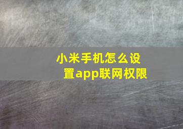 小米手机怎么设置app联网权限