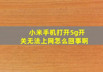 小米手机打开5g开关无法上网怎么回事啊