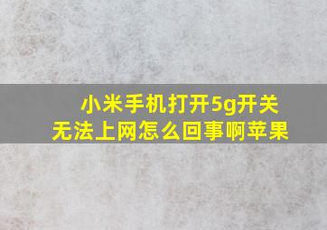 小米手机打开5g开关无法上网怎么回事啊苹果