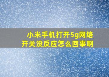 小米手机打开5g网络开关没反应怎么回事啊