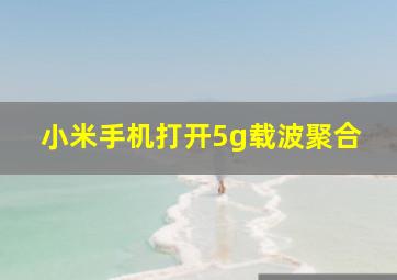 小米手机打开5g载波聚合