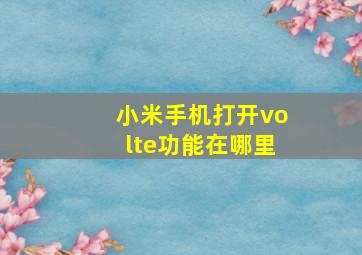 小米手机打开volte功能在哪里