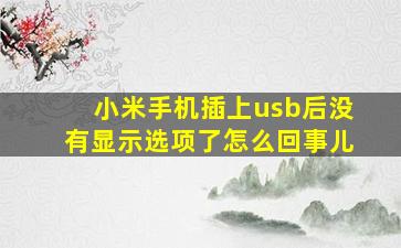 小米手机插上usb后没有显示选项了怎么回事儿