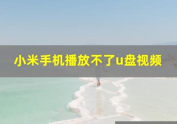 小米手机播放不了u盘视频