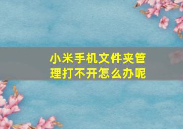 小米手机文件夹管理打不开怎么办呢