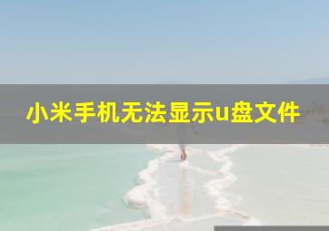 小米手机无法显示u盘文件