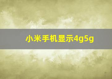 小米手机显示4g5g